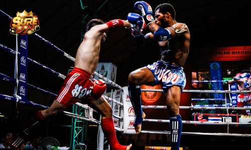 แทงมวยออนไลน์